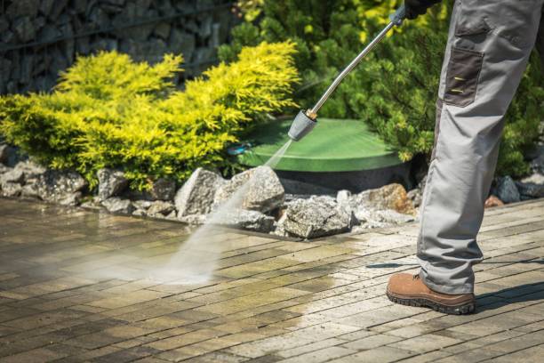 Best Dumpster Area Cleaning  in New Egypt, NJ